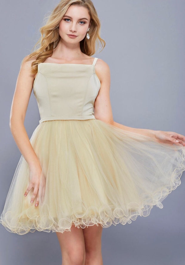 CHAMPAGNE SHORT SLEEVELESS DRESS WITH TULLE RUFFLED SKIRT - Chicago Bridal Store Company