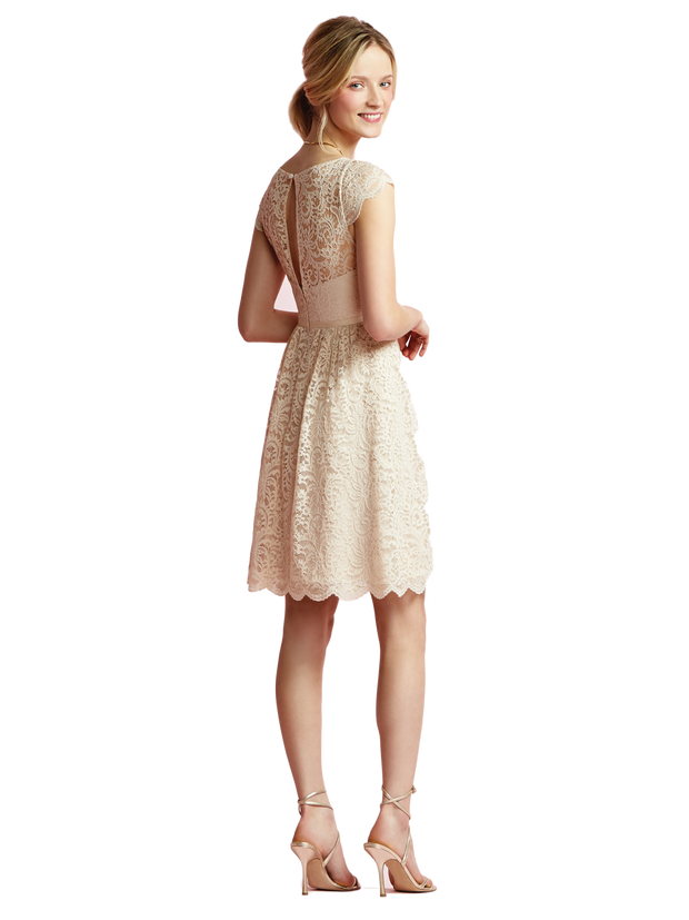 JY Marquis Lace Style JY509 - Chicago Bridal Store Company