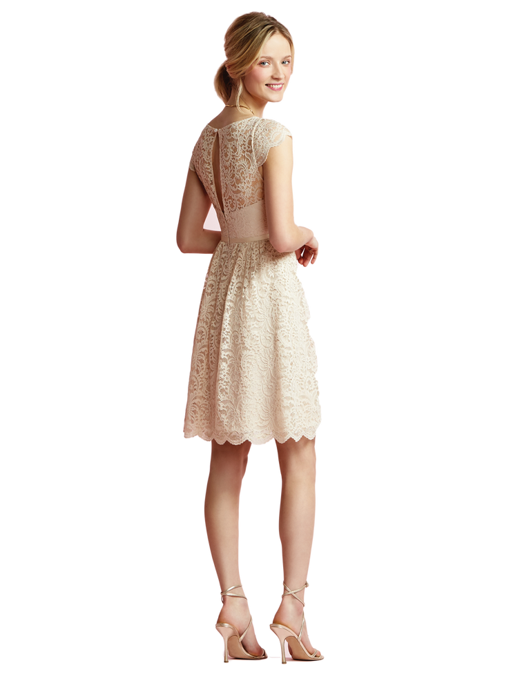 JY Marquis Lace Style JY509 - Chicago Bridal Store Company